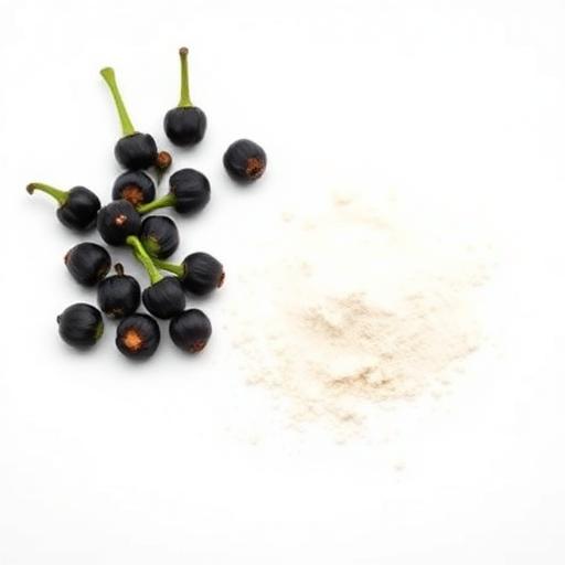 Black Pepper Extract (BioPerine®)